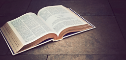 Scripture Alone Discord Server Banner