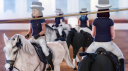 Star Stable Dressage Discord Server Banner