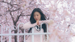 LOOΠΔ - Happy Choerry Day! Discord Server Banner