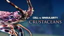 Cell to Singularity Discord Server Banner