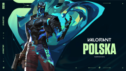 VALORANT Polska Discord Server Banner