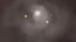 T R A S H 新 ドラゴン Discord Server Banner