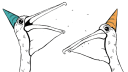 Pelican Party Discord Server Banner