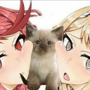 Shuka Support Discord Server Banner