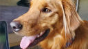 schlatt community discord Discord Server Banner