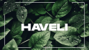 Haveli Discord Server Banner