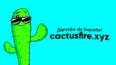 CactusFire Lounge Discord Server Banner