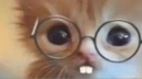 Noymless's Projects Discord Server Banner