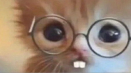 Noymless's Projects Discord Server Banner