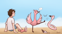 Flamingo Community Discord Server Banner