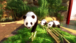 Planet Zoo Discord Server Banner