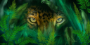 THE Ginge Gang Discord Server Banner