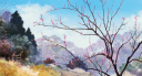 Deutsche Anime-Community Discord Server Banner