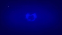 Bored Aussies Discord Server Banner