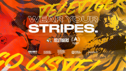 UST Teletigers Esports Club Discord Server Banner
