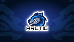 Arctic Games Discord Server Banner