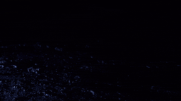 π°ππΆπ°ππ³ ππΎπ»π΄πΏπ»π°π 2018 - β Discord Server Banner