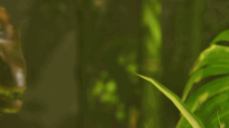 BluBlood Gaming Discord Server Banner