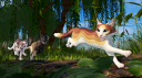 Warrior Cats Discord Server Banner