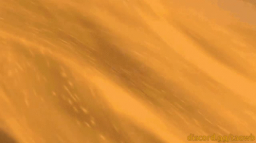 TaoWB Discord Server Banner