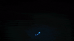 แชแแ฿แ โ DREAMS Discord Server Banner