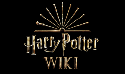 Harry Potter Wiki Discord Server Banner