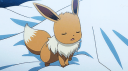 EeveelutionClub Discord Server Banner
