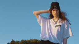 pdl Discord Server Banner