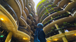 Eve harapeco - Discord Server Banner