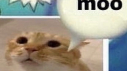 RXD Studios Discord Server Banner