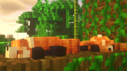 Bonsai Studios 🌱 Discord Server Banner