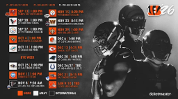 Cincinnati Bengals Discord Server Banner
