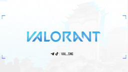 VALORANT СНГ Discord Server Banner