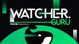 Watcher Guru Discord Server Banner