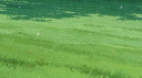 delicate Discord Server Banner