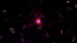 UA High - My Hero Community Discord Server Banner