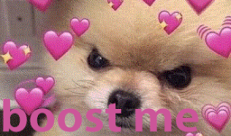 Dogs of Discord Discord Server Banner