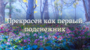 🌷┆Т&Д – Игры и общение Discord Server Banner