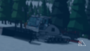 Pine Hill Resorts Discord Server Banner