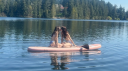 Lilly's Lounge Discord Server Banner