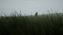 Lushfoil Photography Sim Discord Server Banner