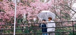 BL Tea Cafe Discord Server Banner