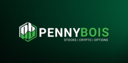 Pennybois Stock Alerts Discord Server Banner
