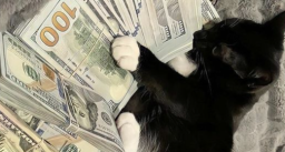 Tom's Lounge Discord Server Banner