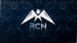 𝐑 𝐄 𝐂 𝐎 𝐍 Discord Server Banner