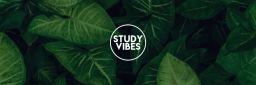 Study Vibes Discord Server Banner