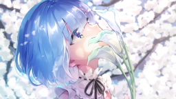 Ayamari Network Discord Server Banner