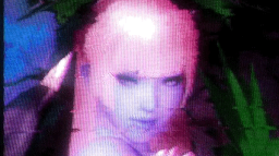 Høuse of the Nocturnal Discord Server Banner