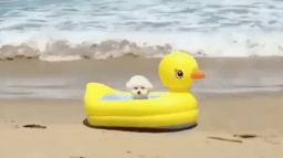 π· π
ππππ Discord Server Banner