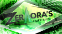 Zeraora's Emporium Discord Server Banner
